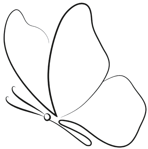 borboleta decorativa